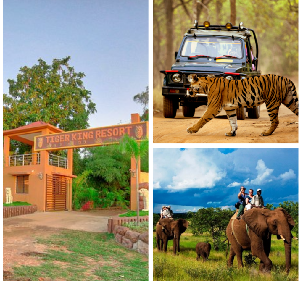 nagpur to taloba taxi